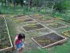 2006 Vegetable Garden